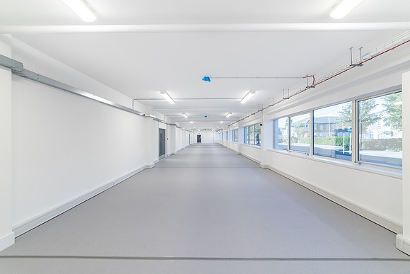 Centro (Unit 3) 135