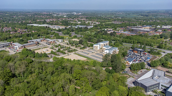 Birch House 068