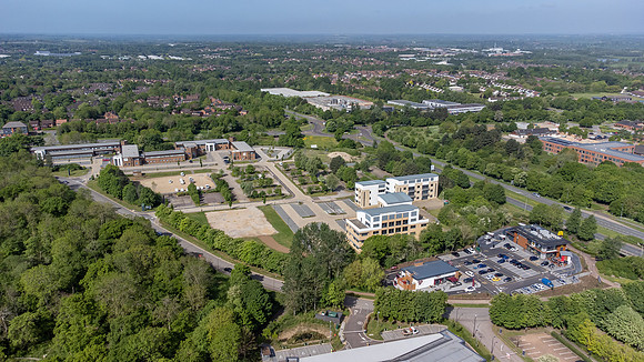 Birch House 065