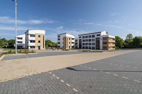 Birch House 031