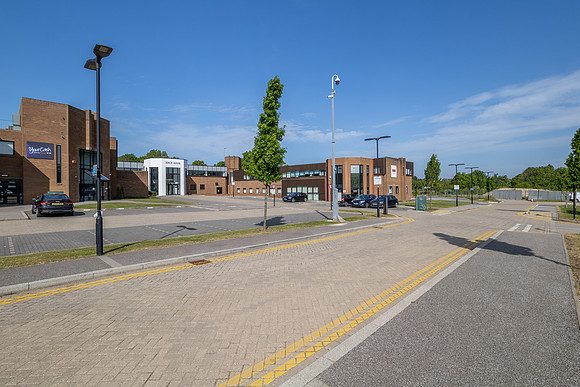 Birch House 042