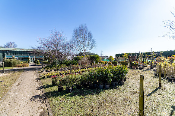 Covey_Farm_033