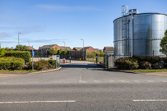 Pineham 60 - 091