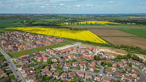 Minster Fields 040