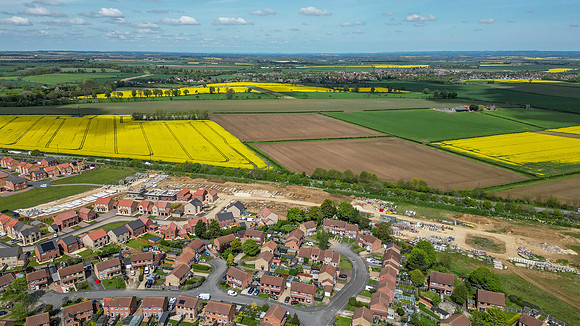 Minster Fields 041