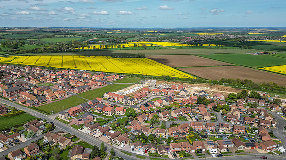Minster Fields 039