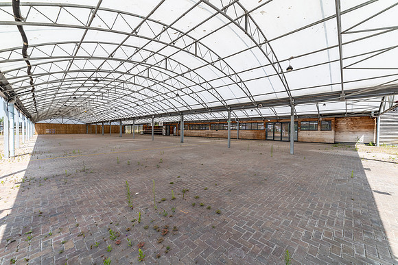Dobbies - Kings Lynn-61