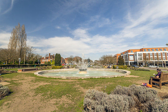 Rosanne House 092