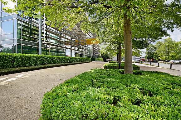 People Building  007
