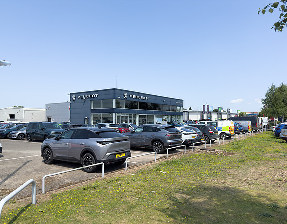 Dobbies - Kings Lynn-90