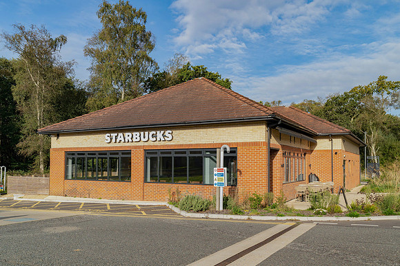 Lipshook-starbucks-06622