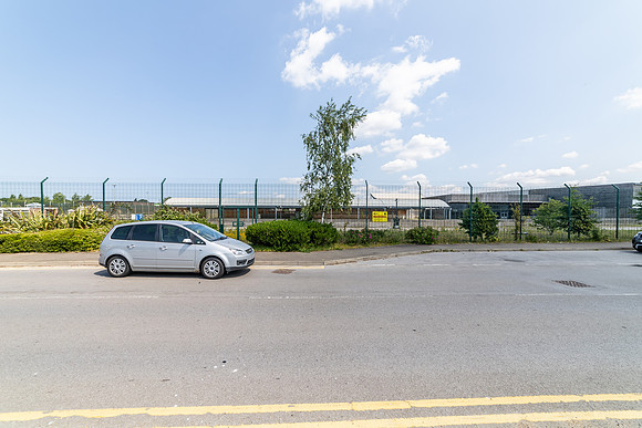 Dobbies - Kings Lynn-81