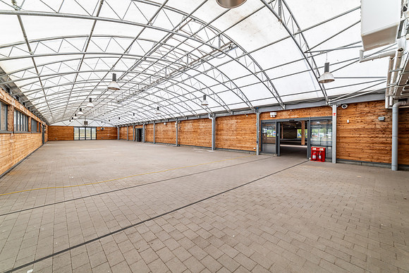 Dobbies - Kings Lynn-51