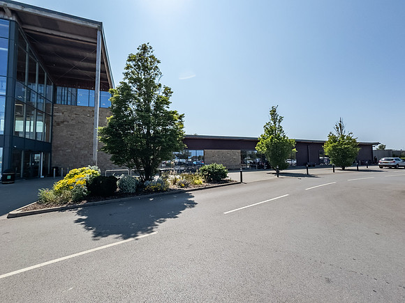 Dobbies - Kings Lynn-137