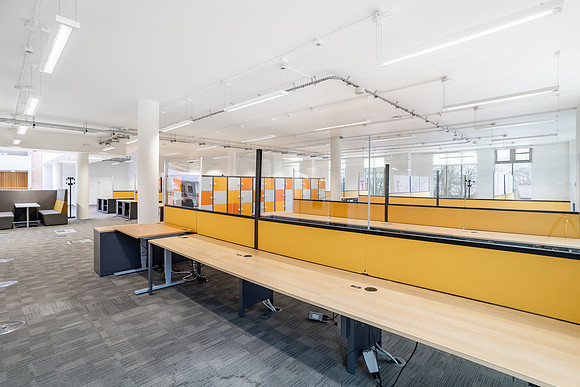 Yellow Zone - The forum-9