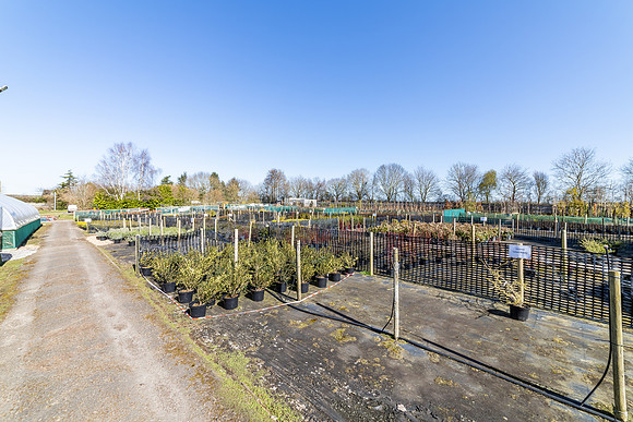 Covey_Farm_023