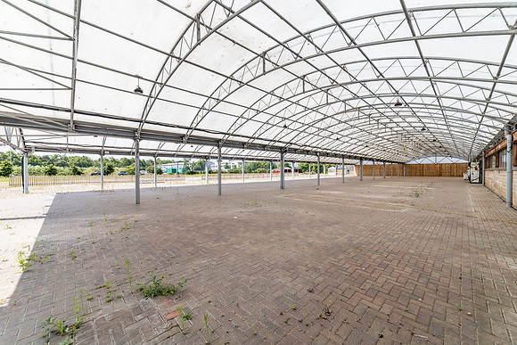 Dobbies - Kings Lynn-60
