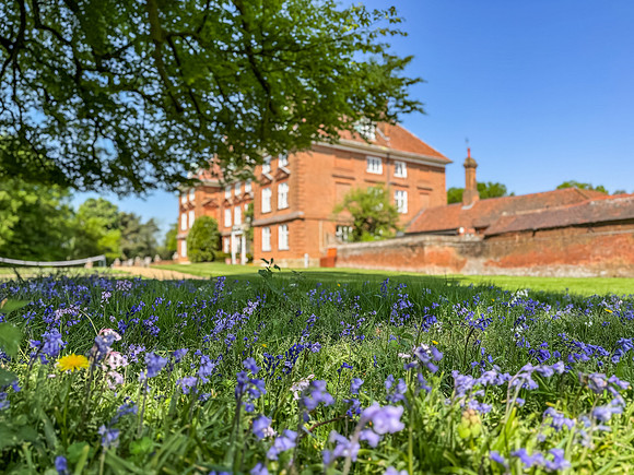 Tyttenhanger Park-100