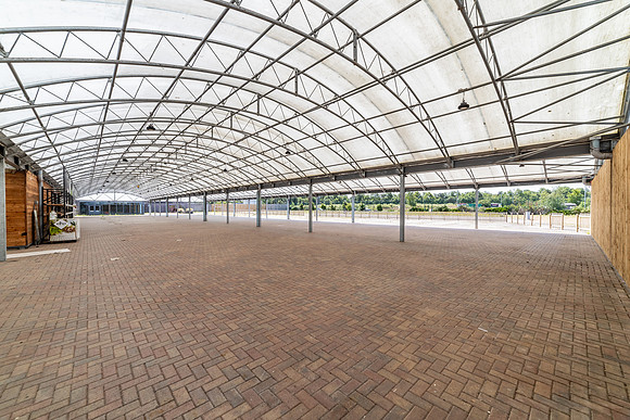 Dobbies - Kings Lynn-58