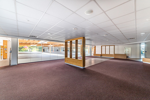 Dobbies - Kings Lynn-27