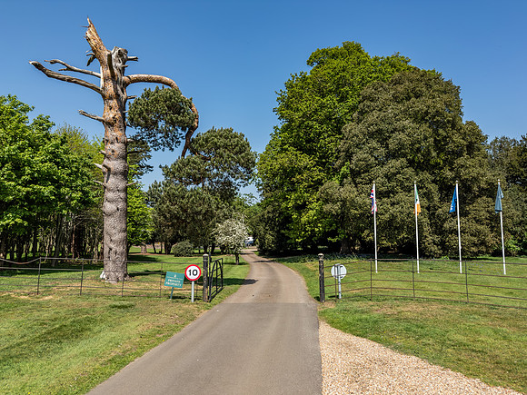 Tyttenhanger Park-51