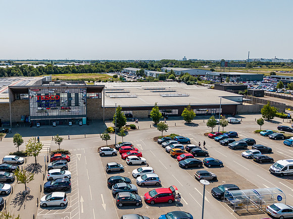 Dobbies - Kings Lynn-227